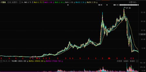 昔日大牛股暴跌之路 從暴漲5倍到縮水成渣，散戶每戶虧損12萬警示錄
