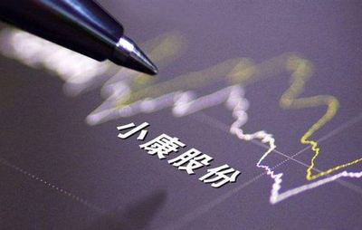 凈利虧損靠融資存活，賽力斯和問界難挽小康股份困境